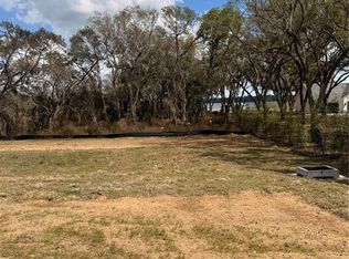 3802 Marigold Belle Cir LOT 1131, Clermont, FL 34711