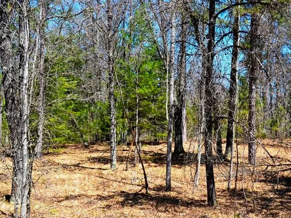 2 Lodge Lake Rd, Winter, WI 54896