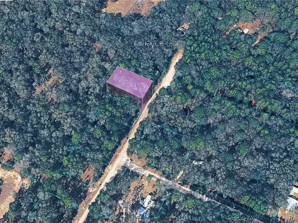 10452 N Dunedin Rd, Dunnellon, FL 34433