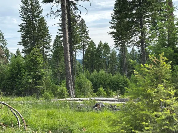 36XX Sheridan Rd Lot A, Republic, WA 99166