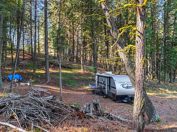 5th image of 5 Bell Flower