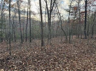 28/32 Stuart Ridge Rd, Mineral Bluff, GA 30559