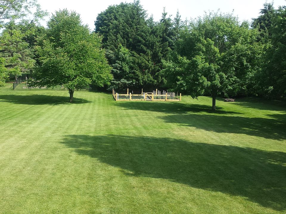 Park like backyard....