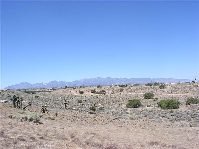 2nd image of Palm St