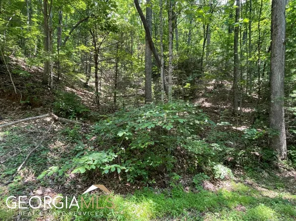 46/29 Switchback Dr, Rabun Gap, GA 30568