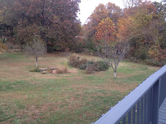 Back left yd w/blackberries