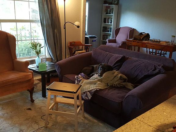 Living / Dining
