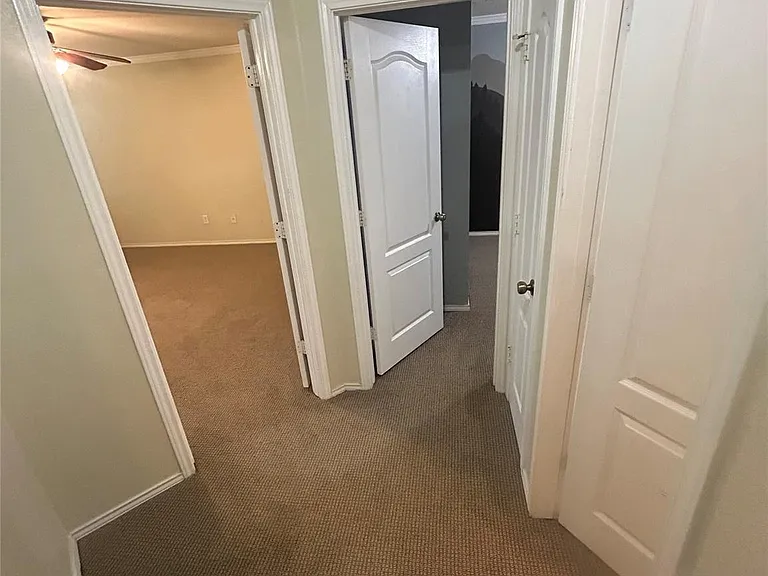731 Abundance Ln — Photo 13