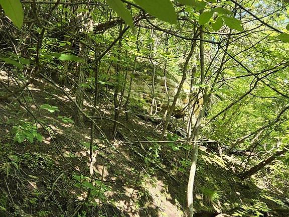 5th image of 0 WILLOW WAY