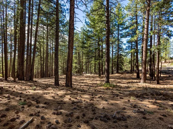 0 Ski Run Blvd, South Lake Tahoe, CA 96150