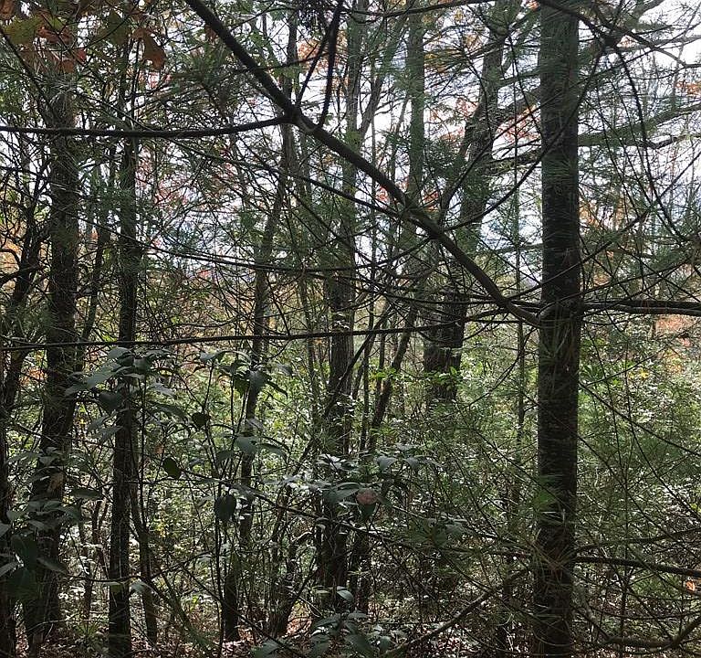 2nd image of Ravens Ridge Rd