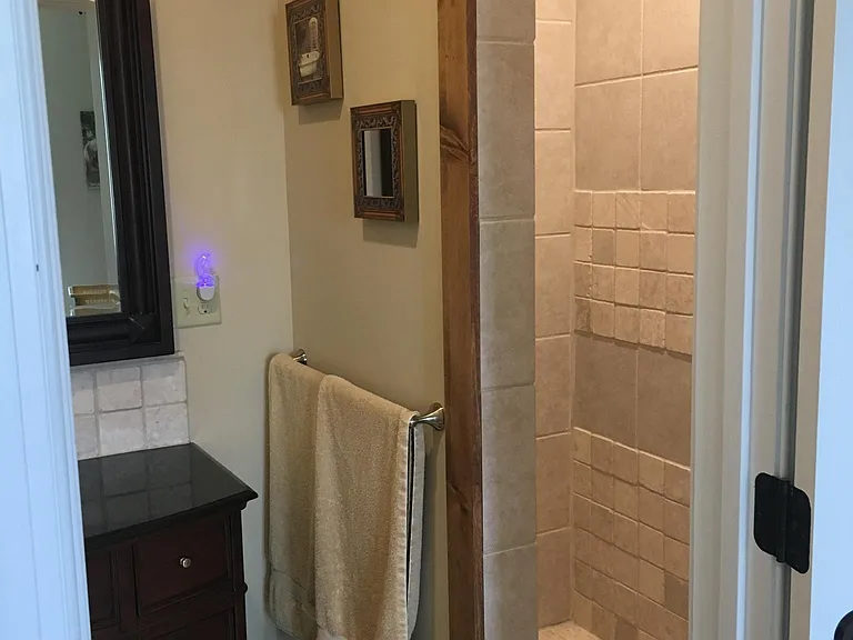 207 Three Runs Plantation Dr — Photo 10