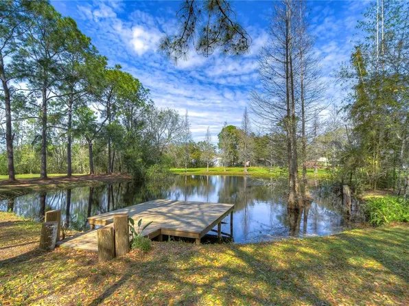 4311 Charro Ln, Plant City, FL 33565