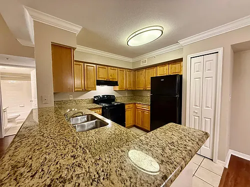15135 Michelangelo Blvd #208 Photo 1