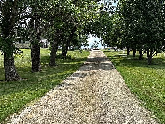 Tree-lined driveway
