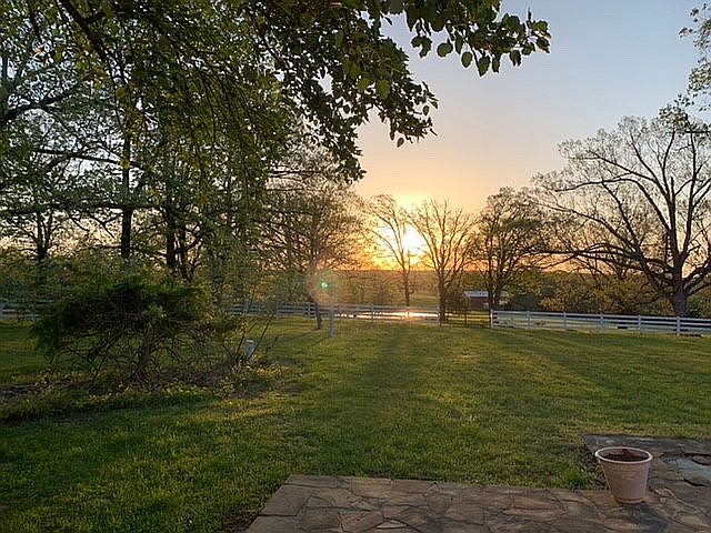 View from back patio