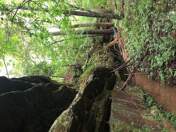 3rd image of County Road 3147