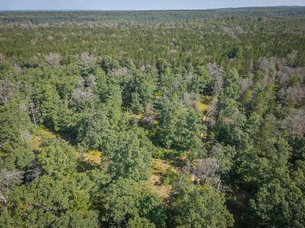 Van Rd, Wellston, MI 49689