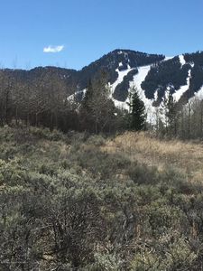 405 W Saddle Butte Dr, Jackson, WY, 83001