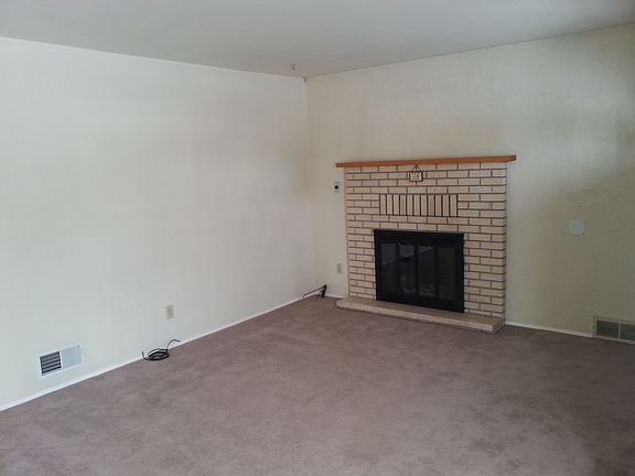 wood burning fireplace