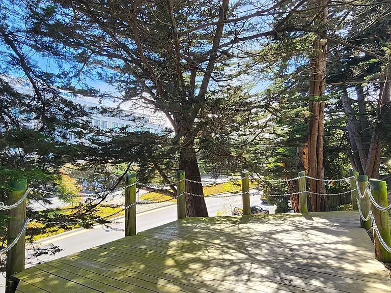 Mandarin Dr — Photo 48