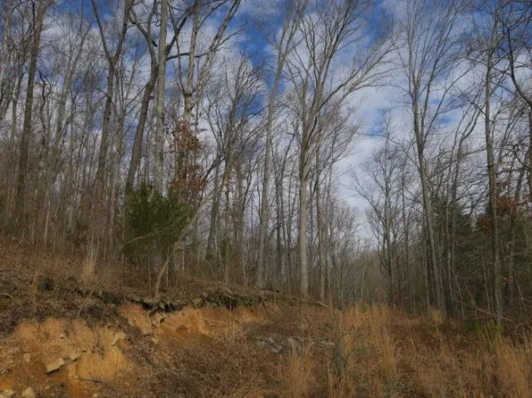 4404 Hannah Ford Rd, Pegram, TN 37143