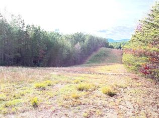 9999 Silver Creek Rd #B, Mill Spring, NC 28756