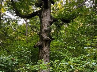 0 Unnamed Rd, Eureka Springs, AR 72632