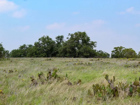 55 Elan Ln, Harper, TX 78631