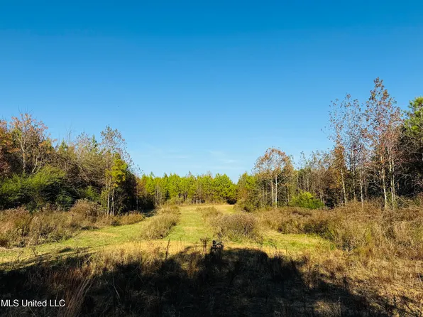 Attala County Rd #4210, Sallis, MS 39160