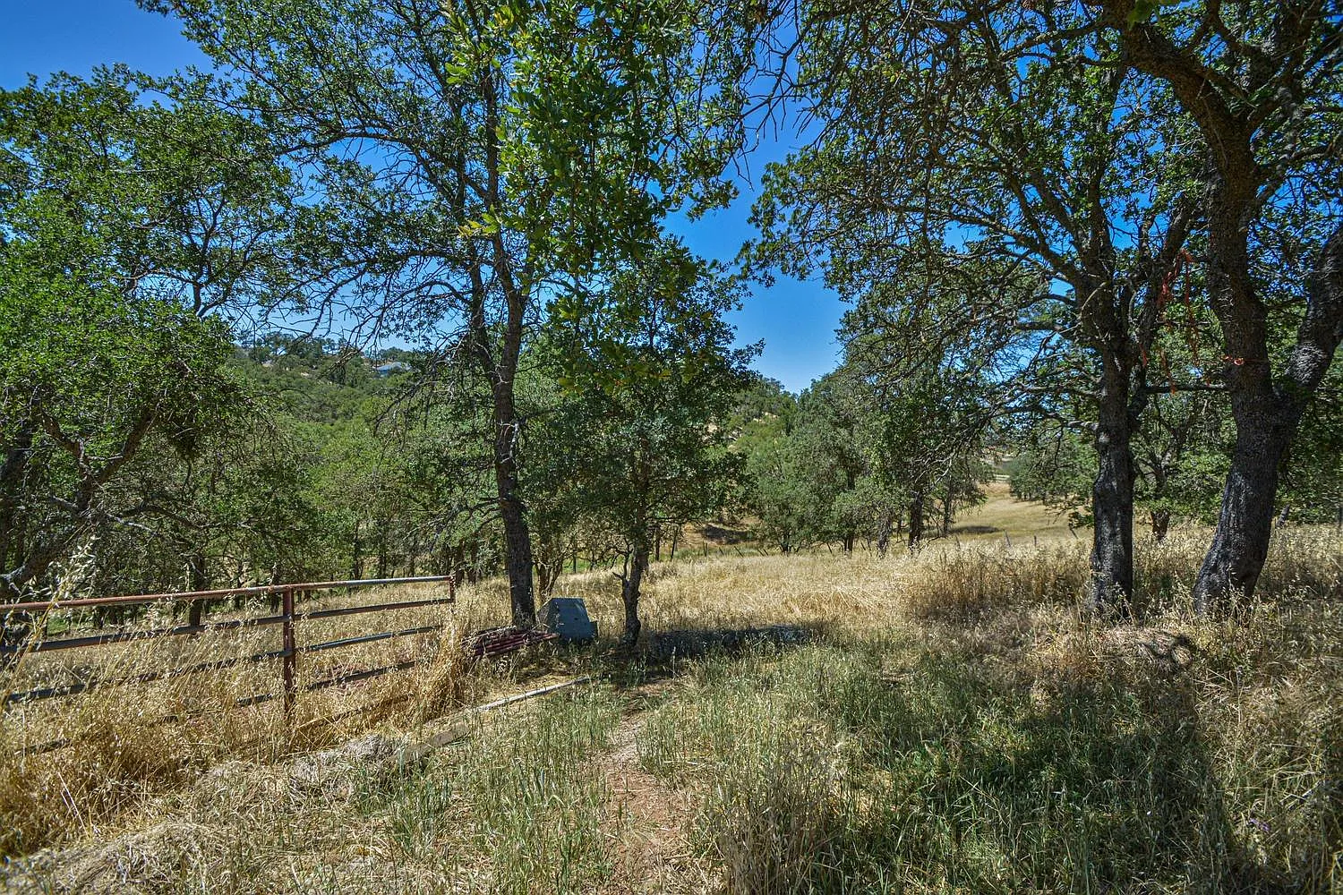 1405 Cheyenne Rd photo 1