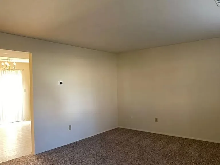 4709 Maple Ave — Photo 10