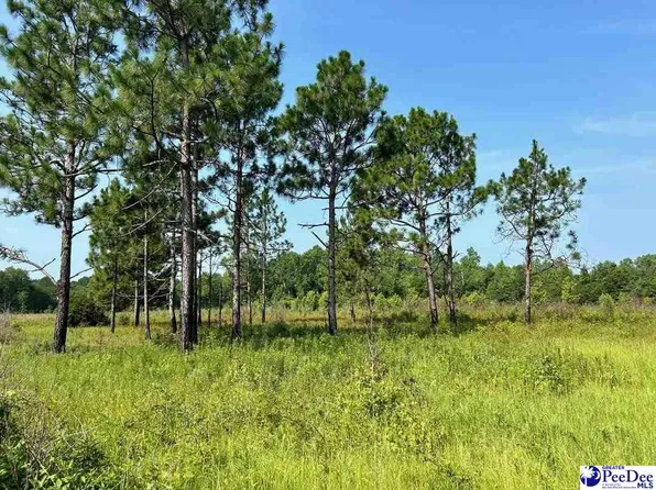 Highway 430, Nichols, SC 29581