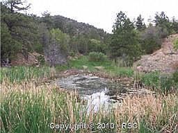 1st image of 1289 S Pine Vis