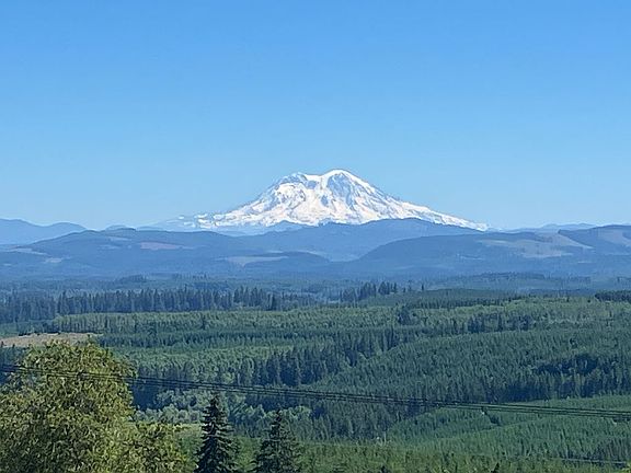 Mt. Rainier