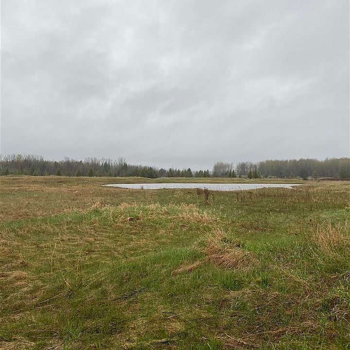2nd image of 6604 Lora Bette Dr