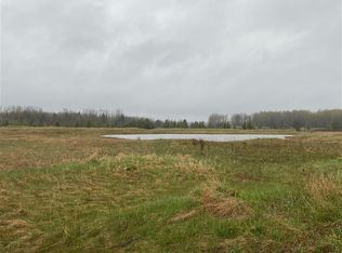 6580 Lora Bette Dr, Alanson, MI 49706
