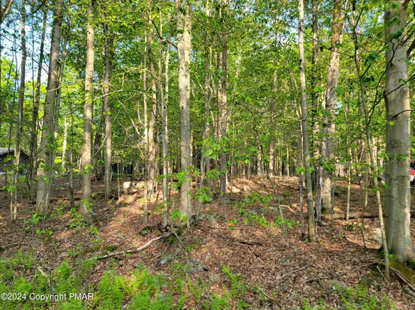 N1951 Creekview Dr W, Gouldsboro, PA 18424