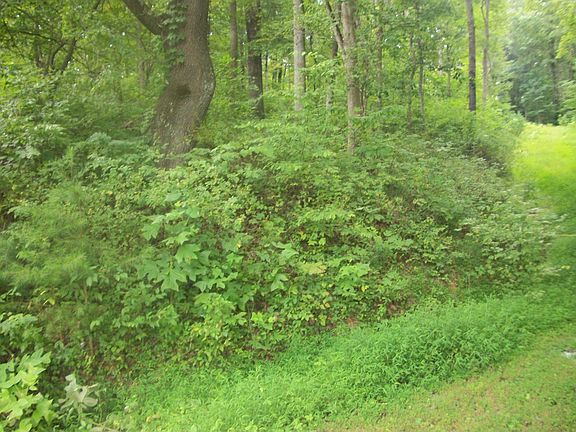 3rd image of Tract 13 Lakeview Drive