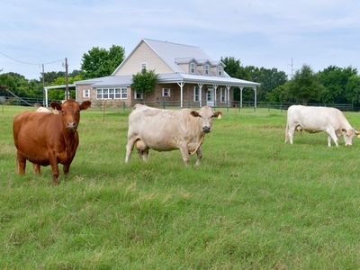 101 Monticello Dr, Springtown, TX, 76082