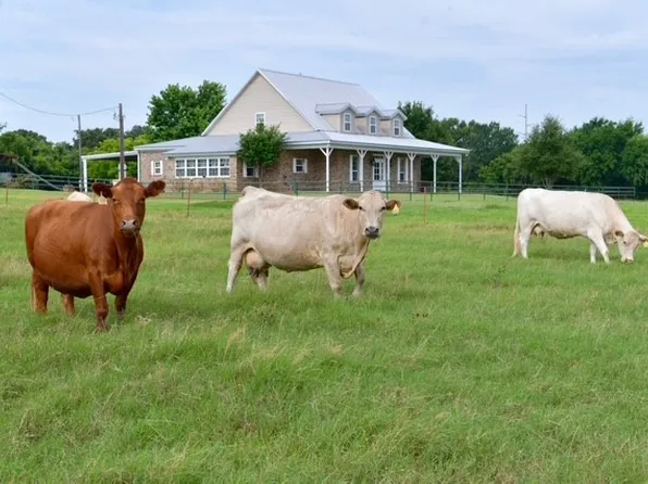 101 Monticello Dr, Springtown, TX 76082