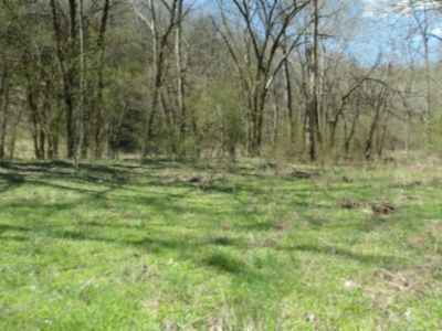 Baugh Hollow Ln LOT 1, Gainesboro, TN, 38562