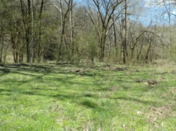 Baugh Hollow Ln, Gainesboro, TN 38562