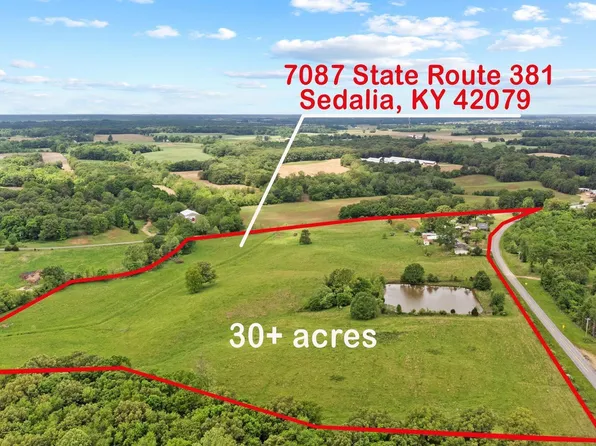 7087 State Route 381, Sedalia, KY 42079