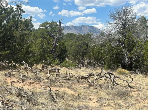 County Road 530, Walsenburg, CO 81089