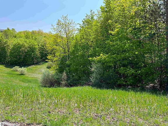 4th image of 16 Horton Creek Dr