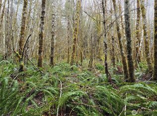 319 W 4th St, Elma, WA 98541