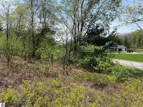 Crestview Dr #8, Cadillac, MI 49601