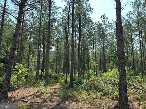 Plank Rd #35, Courtland, VA 23837