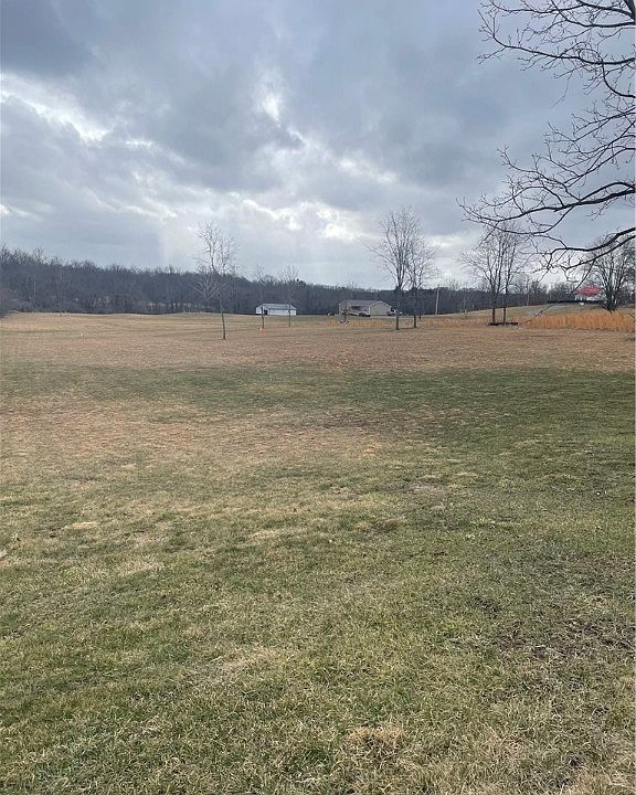 2nd image of 379 Tin Can Hollow Rd